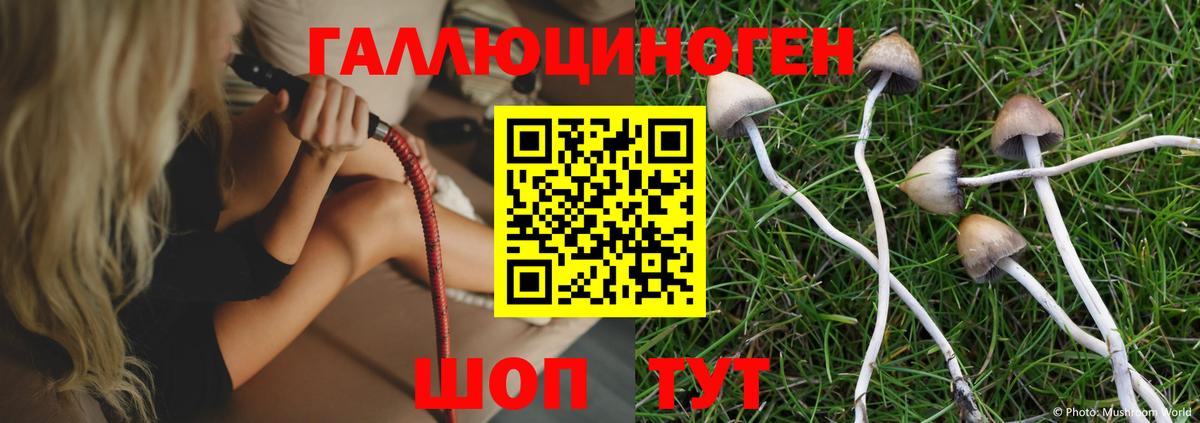 Саров  купить   Вход с VPN  Псилоцибиновые грибы MAGIC MUSHROOMS 